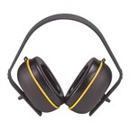 PFAM80946